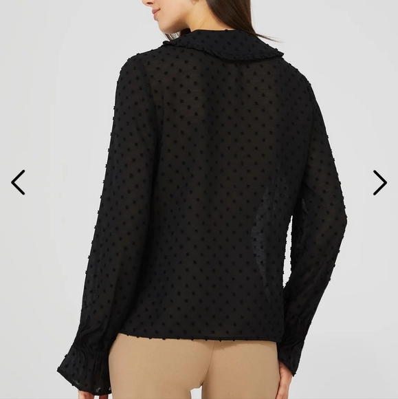 Textured Button-Front Ruffle Collar Blouse - Picture 2 of 10